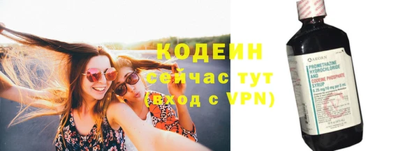 spice Гусев