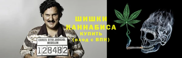 spice Гусев