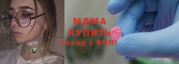 spice Гусев