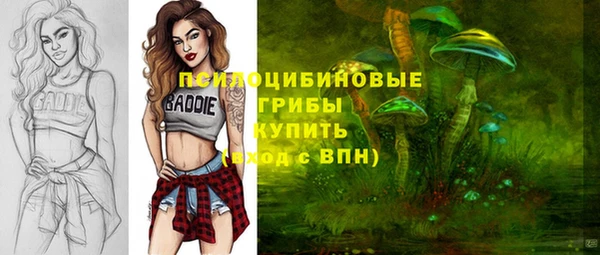 герыч Гусь-Хрустальный