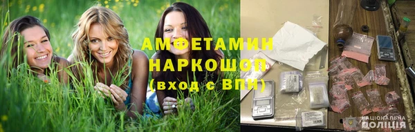 spice Гусев