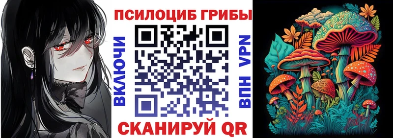 что такое   OMG онион  Псилоцибиновые грибы MAGIC MUSHROOMS  Тверь 